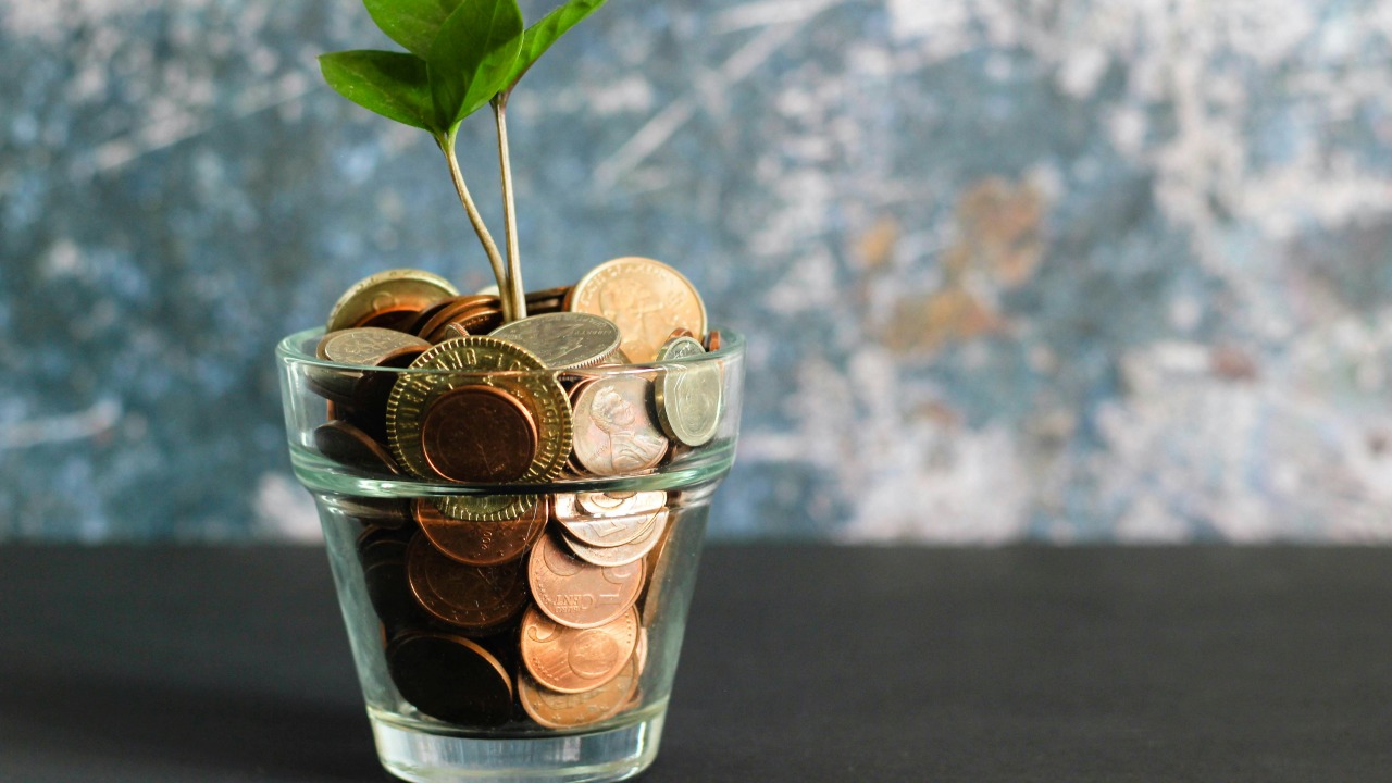 Which Peptide Catalog Options Offer the Best 